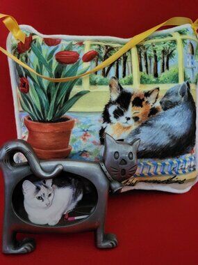 Cat Pewter Picture Frame and Cat Pillow Wall Hanging Set of 2
